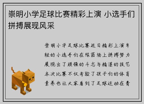 崇明小学足球比赛精彩上演 小选手们拼搏展现风采