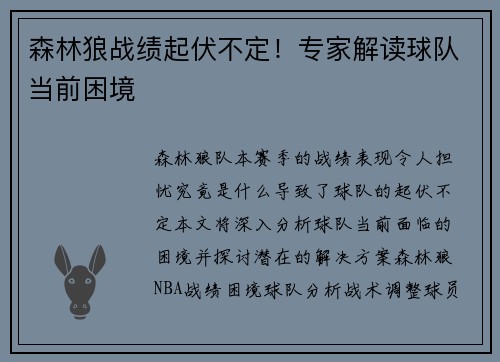 森林狼战绩起伏不定！专家解读球队当前困境