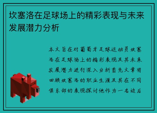 坎塞洛在足球场上的精彩表现与未来发展潜力分析