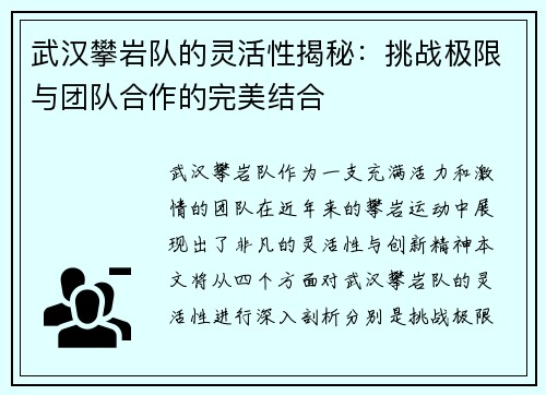 武汉攀岩队的灵活性揭秘：挑战极限与团队合作的完美结合